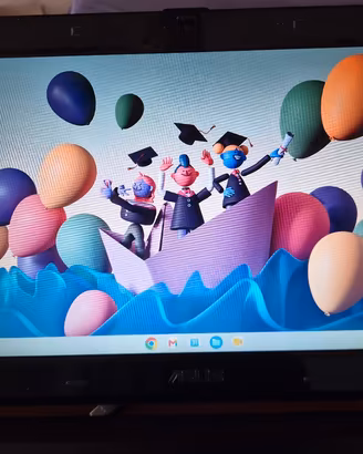 Asus Chromebook 