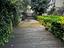 Immagine 6
