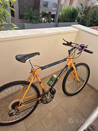 Bicicletta Bianchi Ibex