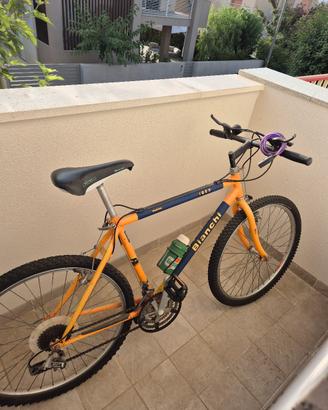 Bicicletta Bianchi Ibex