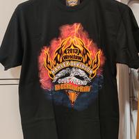 HARLEY DAVIDSON SUPER RALLY POLONIA