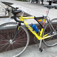 bici corsa