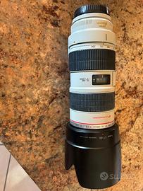Canon EF 70-200mm f/2.8L IS USM