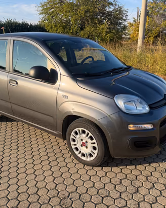 Fiat Panda 1.3 MJT 95 CV S&S Easy