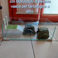 Vasta terrario/acquario per tartarughe