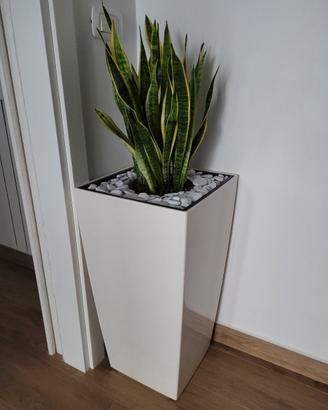 Vaso Lechuza H75