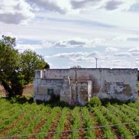 CampomarinoTA Fabbricato rurale su terreno 1000 mq