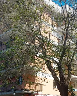 Appartamento 170mq - viale umberto