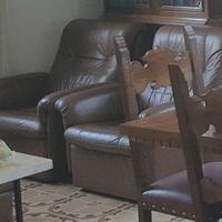 DIVANO E POLTRONA PELLE