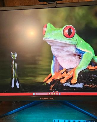 Acer Predator X27 27” - 4K UHD 144Hz G-SYNC IPS
