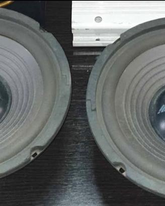Speaker Majestic