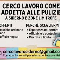 Candidatura addetta alle pulizie
