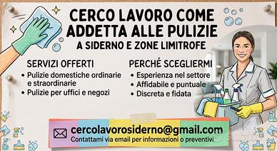 Candidatura addetta alle pulizie