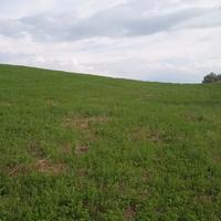 Terreno agricolo seminativo 22000 mq corpo unico