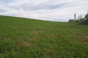 Terreno agricolo seminativo 22000 mq corpo unico