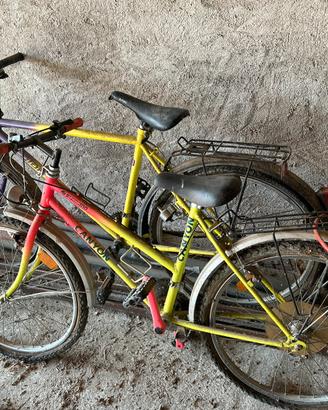 Bici per Bambini due da adulti