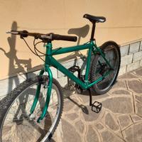 bici uomo mountain bike 