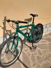 bici uomo mountain bike 