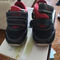 scarpe Geox bambino 