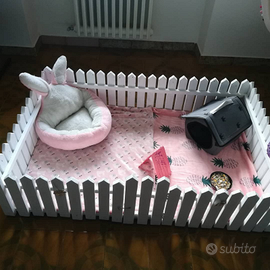 Recinto coniglio cavia riccio