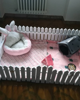 Recinto coniglio cavia riccio