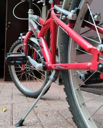 bicicletta