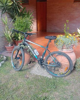 Bicicletta mountain bike
