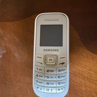 Cellulare Samsung