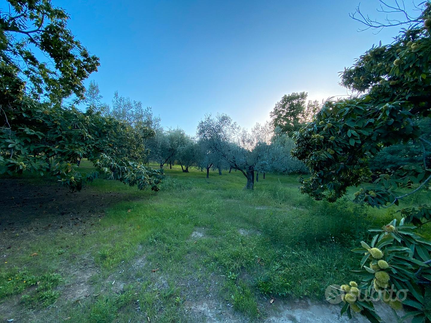Terreno Agricolo - Vista 6