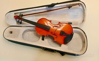 Violino 3/4 primavera