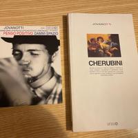 Libro Cherubini 1993 su Jovanotti e CD singolo