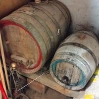 botti per vino cotto