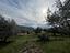 Immagine 27