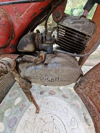 Ducati Piuma