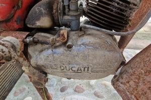 Ducati Piuma