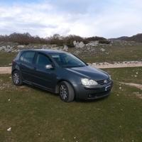 Golf 1.6 bifuel