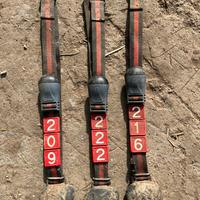 Collari bovini lely calori