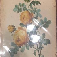 CARTELLI METALLO LATTA