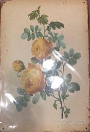 CARTELLI METALLO LATTA