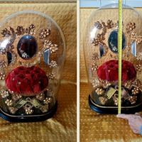 Campana vetro teca Globe Marieè 1850 Napoleone III