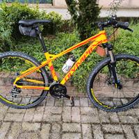 Mountain Bike Taglia M con telaio in Alluminio