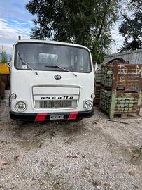 Camion orsetto da reimmatricolare