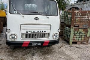 Camion orsetto da reimmatricolare