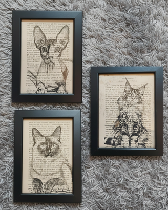 Quadro gatto main coon siamese sphyx