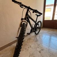 Scott scale 24