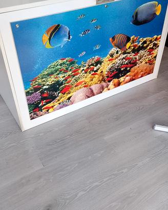 arredo negozio x animali
