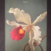 Libro Memoria delle mie puttan tristi