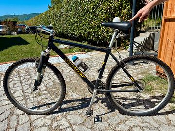 Mountain bike specialized come da foto