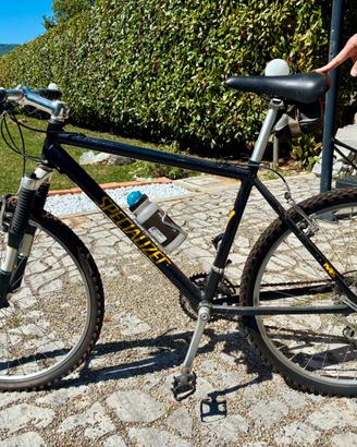 Mountain bike specialized come da foto