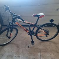 Bicicletta per bambino